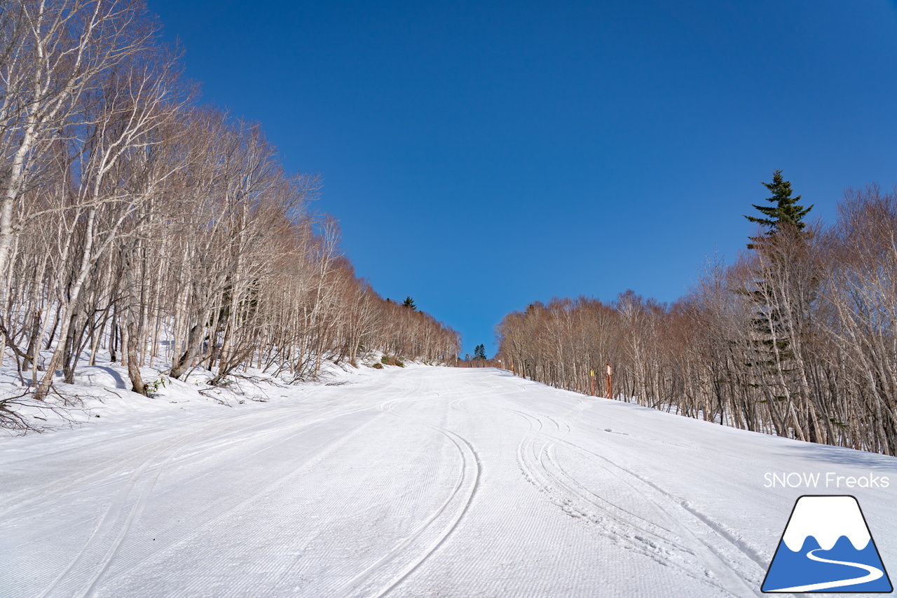 札幌国際スキー場｜ゴールデンウイーク初日も全コース滑走可能OK！！真っ白な雪と澄んだ青空 ＝ 絶好の春スキー＆スノーボード日和♪そして、日本海の彼方に、なんと利尻富士が見えた？！